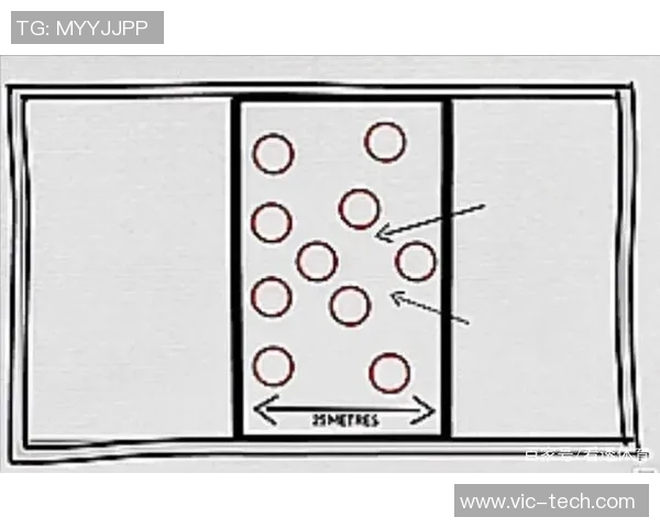 广州排球队区域防守策略解析与战术创新探讨 广州排球队区域防守策略解析与战术创新探讨