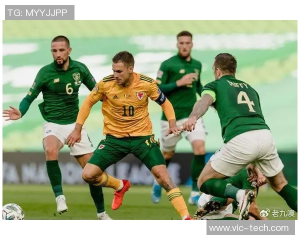 法国队与爱尔兰足球对决精彩回顾与赛后分析