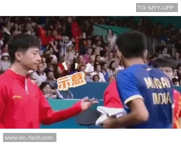 瑞典与韩国精彩对决文字直播实时更新全程回顾