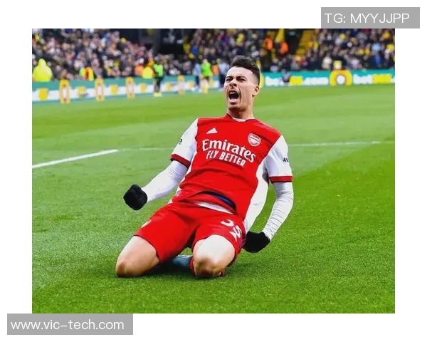 马丁内利的崛起之路：从青训小将到足球明星的华丽转身