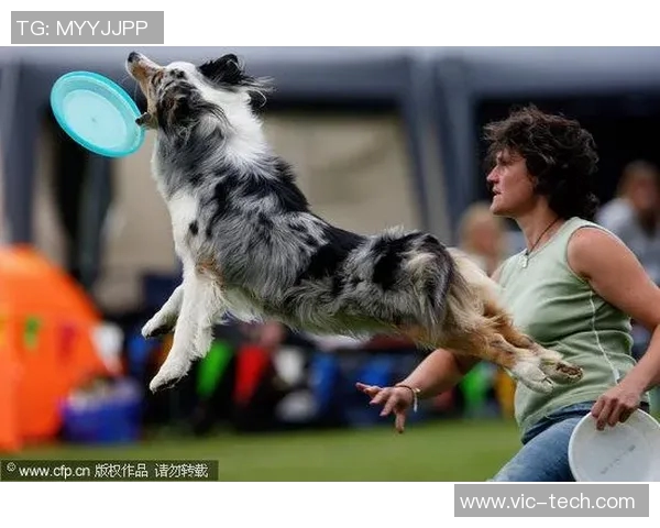 南京飞盘队强势领跑最新飞盘速度TOP10榜单引发热议