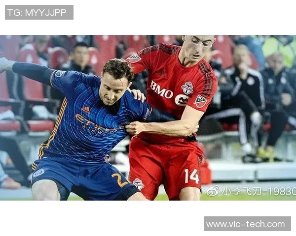 多伦多与纽约城的文化碰撞与生活方式对比探讨