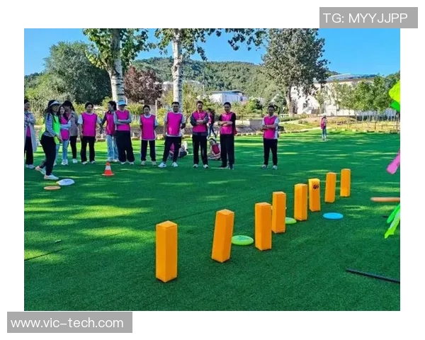 飞盘热潮下的心理素质提升上海飞盘队如何应对挑战与压力MBA