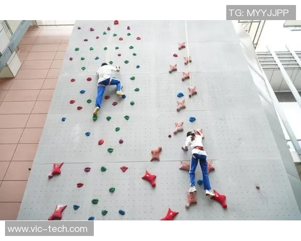 北京攀岩队的控制得失分析与攀岩运动发展的思考MBA